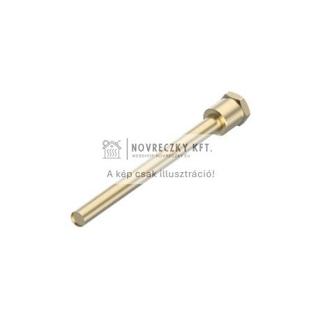 AVT Merülőtok, rozsdamentes acél, 170 mm, Rp1/2" KM, 9.5 mm, PN25