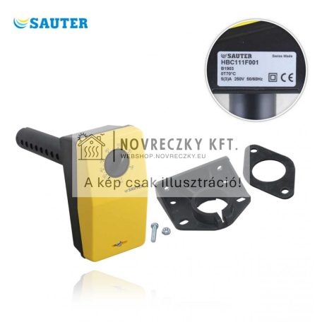 HBC111F001 Sauter páratartalom kapcsoló
